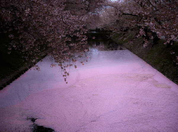 青森摄影作品 004-L