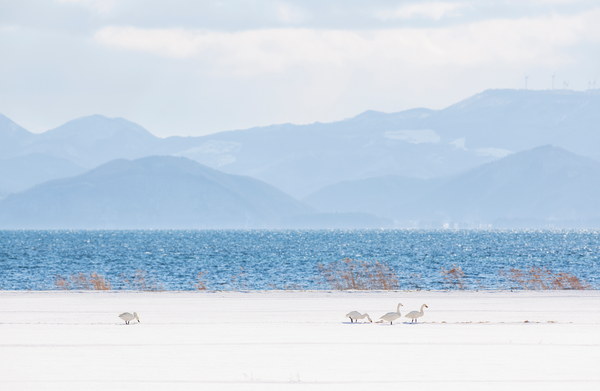 福岛摄影作品 027-L
