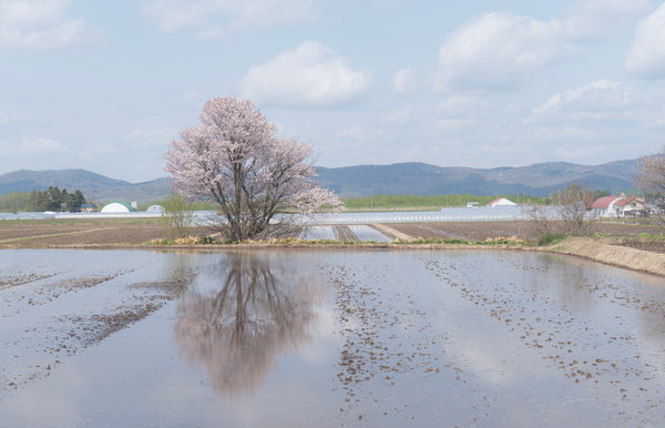 北海道摄影作品 102-L