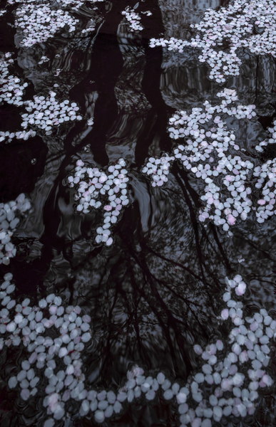 京都摄影作品 085-P