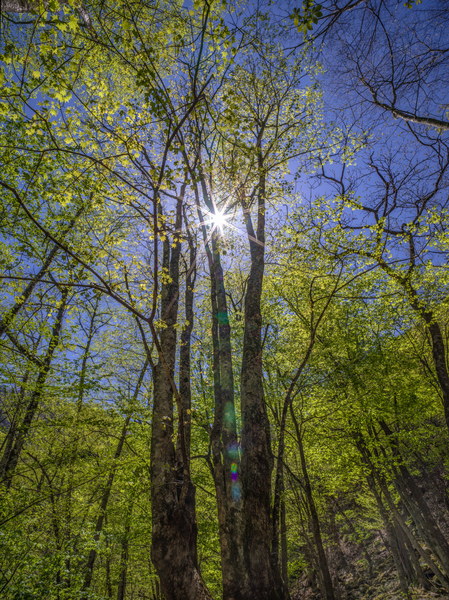 长野摄影作品 132-P