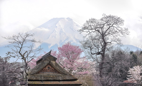 山梨・富士山摄影作品 010-L