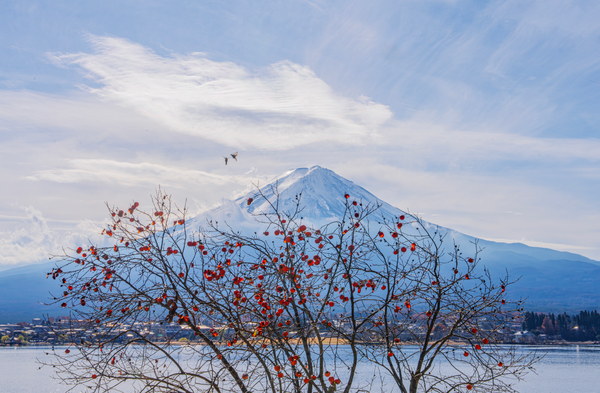 山梨・富士山摄影作品 015-L