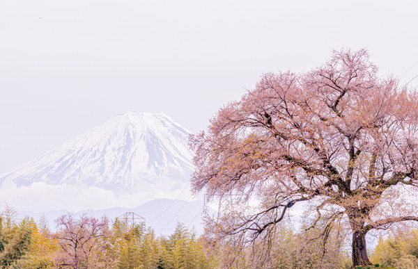 山梨・富士山摄影作品 034-L